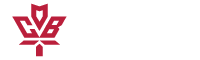 CasinoBonus Ca